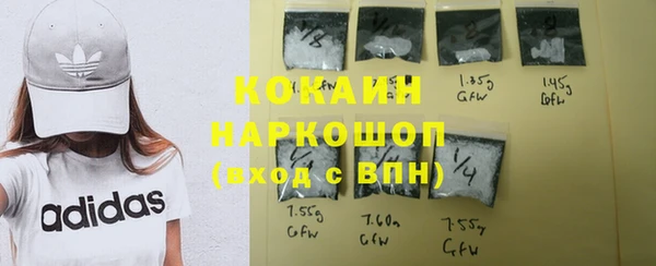 кокс Вяземский