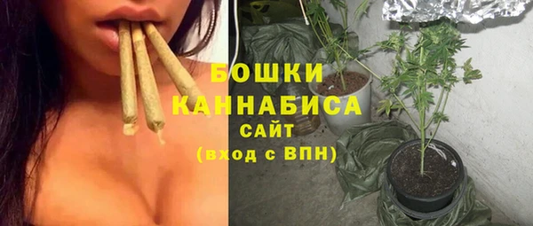 кокс Вяземский