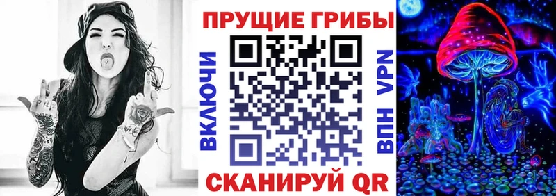 Галлюциногенные грибы мицелий  даркнет сайт  Ишим 
